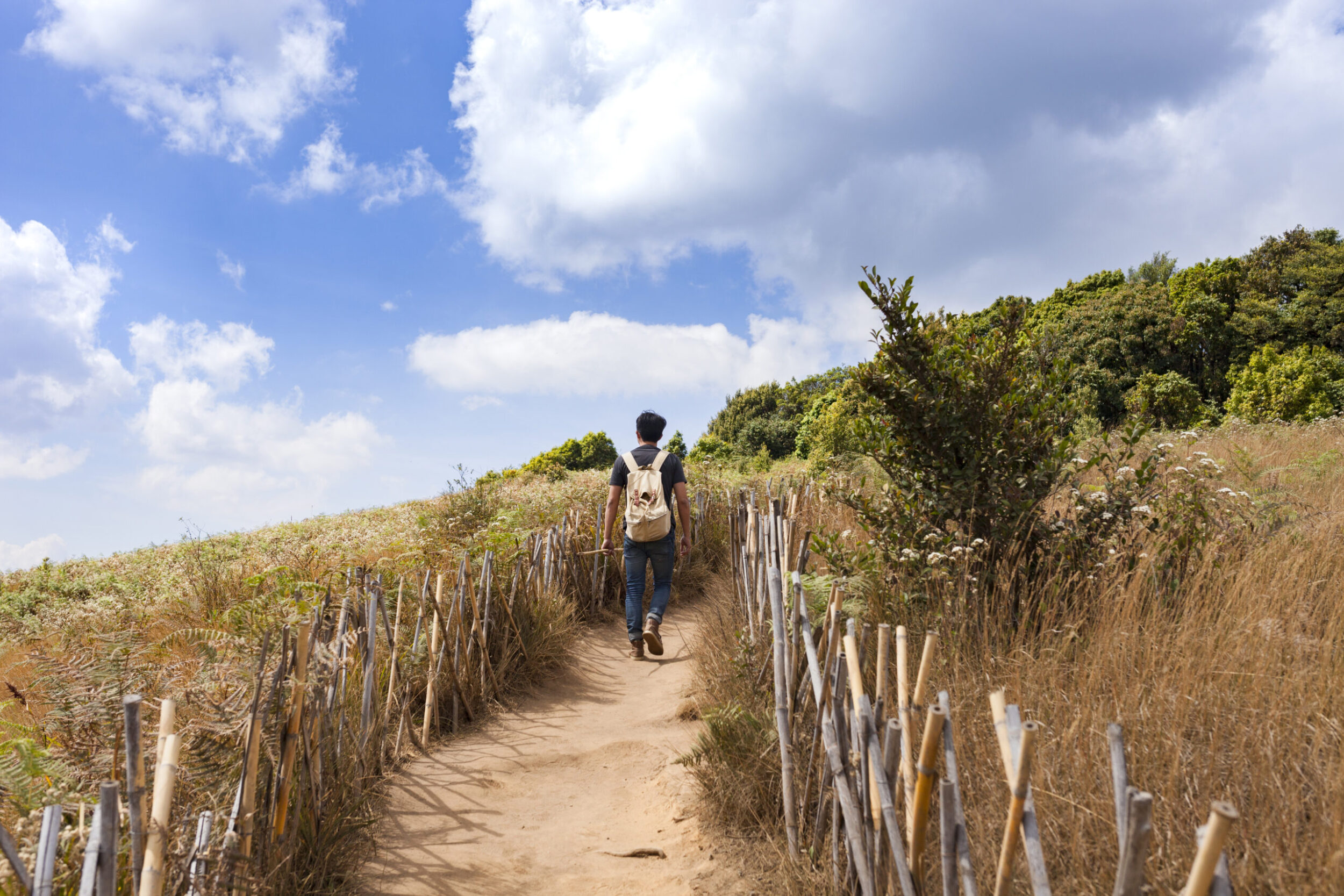 Bewegen tijdens/ bij of na kanker. Man wandelt in de duinen tijdens de wandeltraining